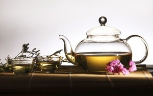 2022中山春季茶博會(huì)