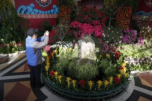 2021年中山迎春花卉展